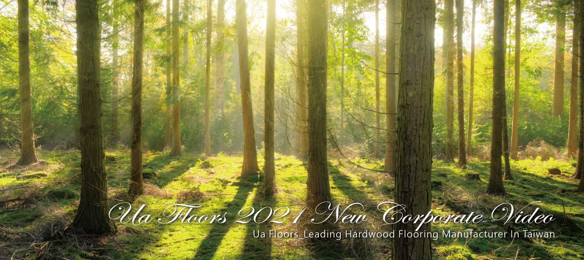 Ua Floors - Ua Wood Floors-Best Flooring For Your Home