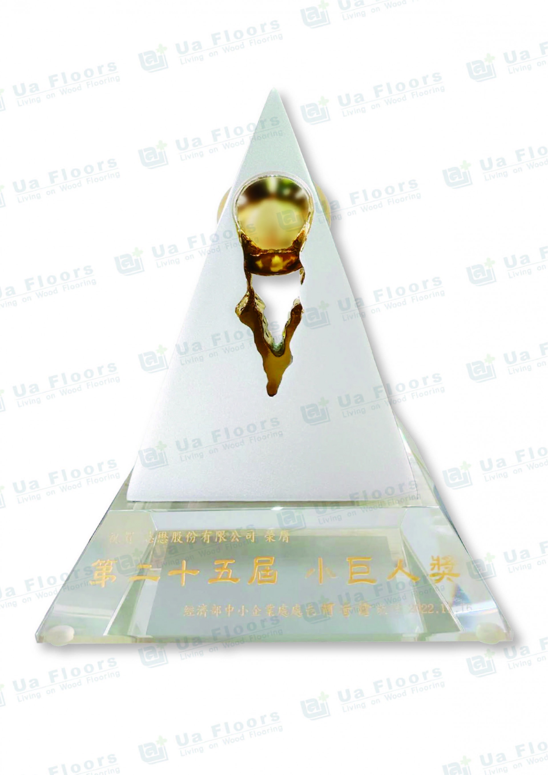Ua Floors - 2022年_小巨人獎盃